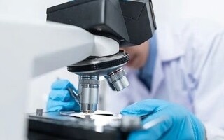 Global Liver Health Crisis: Projections to 2050