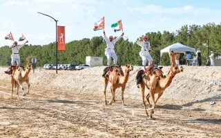 Third Fazza Cup for Al-Rizza and Fazza Sword for Zumait Concludes
