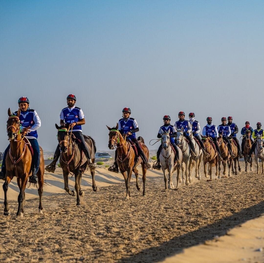 International Endurance Race in Al Ain