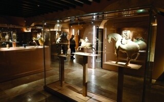 Royal Academy of Equestrian Arts Opens in Abu Dhabi