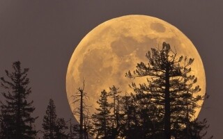 The Biggest Supermoon of the Year: A Rare Astronomical Event