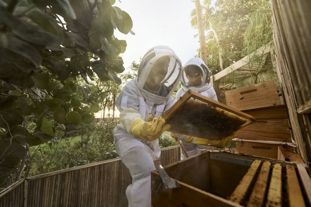 Дубай открывает деревню устойчивого развития