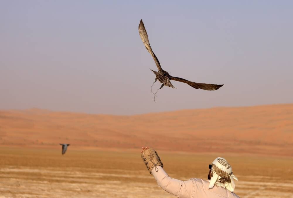 Pigeon-Hunting Championship Kicks Off at Liwa Festival 2026