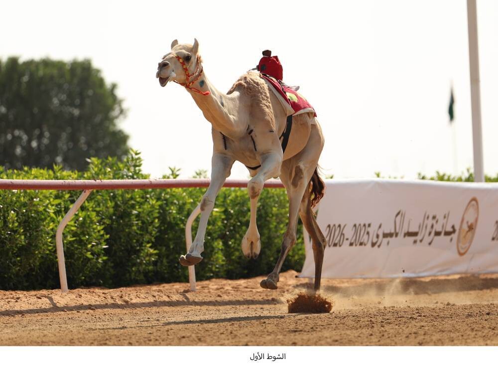 Накал страстей на четвёртый день Большой премии Зайда