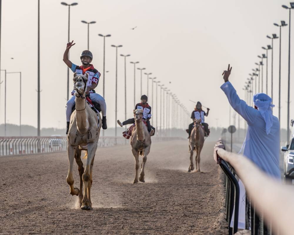 Второй отборочный этап марафона верблюжьих бегов в Дубае