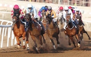 Horse Racing at Jebel Ali