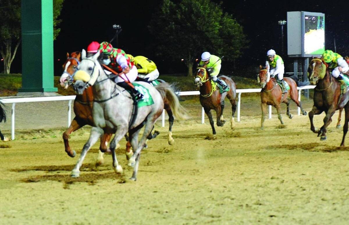 New Racing Season Kicks Off in Al Ain