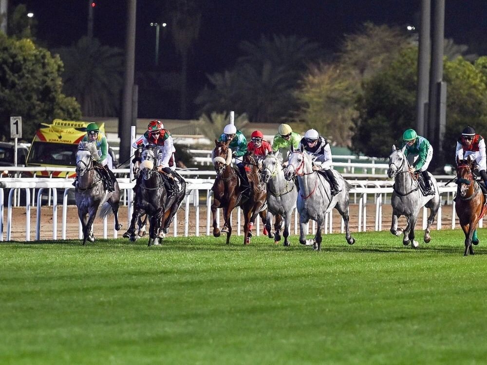 Abu Dhabi Hosts the Al Hadi 10th Horse Racing