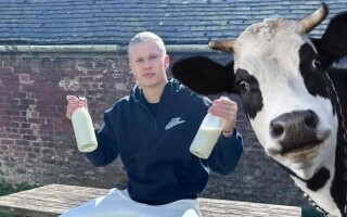 Erling Haaland's Raw Milk Habit Sparks Public Debate