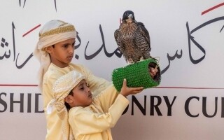 UAE Leads Global Falconry Conservation Efforts