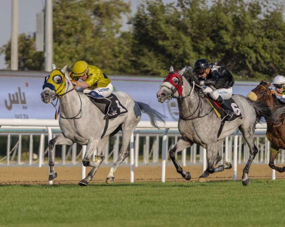 Abu Dhabi Racetrack Race Meeting