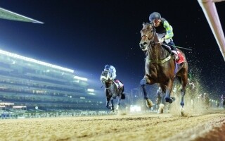 «Кьюпид Дрим» выиграл главный заезд на открытии сезона скачек в Дубае