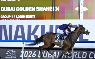 暗黑赛弗隆赢得迪拜金莎金杯