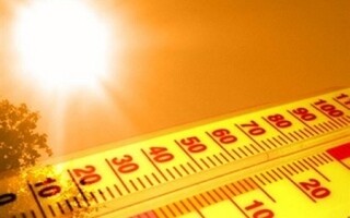 Изменение климата продолжает оказывать разрушительное воздействие в 2024 году