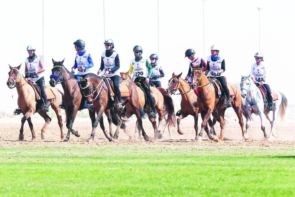В Дубае пройдут скачки для конюрен