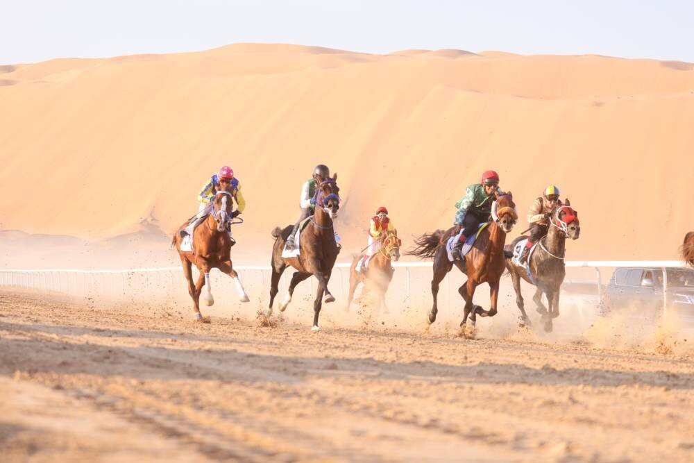 В Заиде прошли скачки чистокровных арабских лошадей
