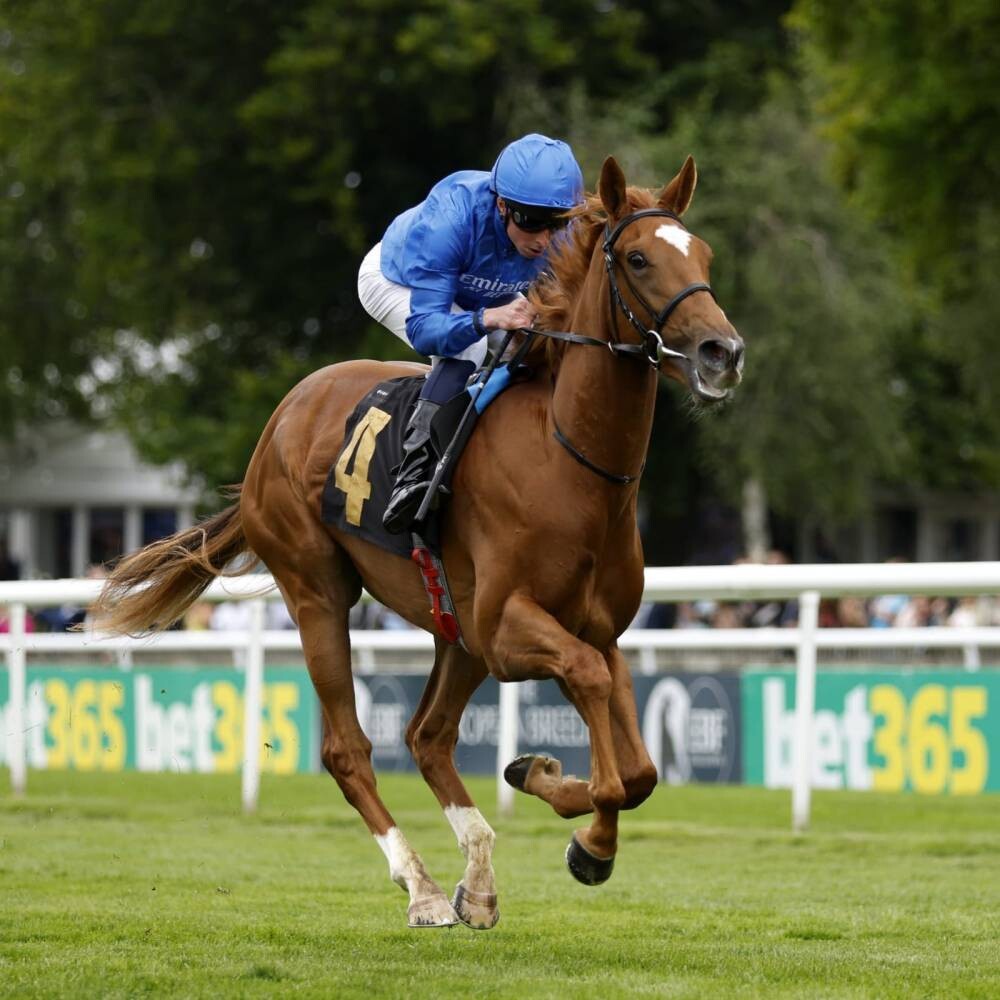 Desert Flower Wins 1000 Guineas in England