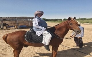 Salem's Dream Horse Becomes Reality