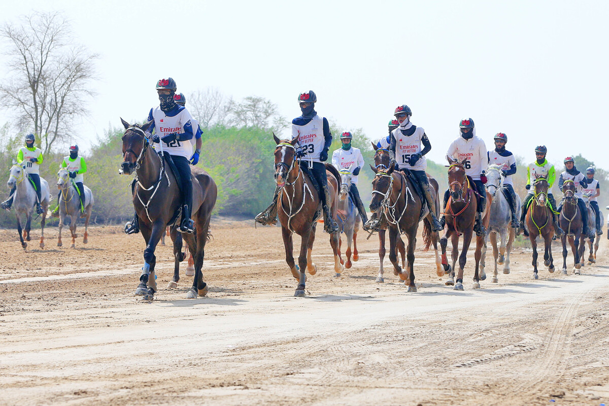 Opening of Registration at Dubai Equestrian Club