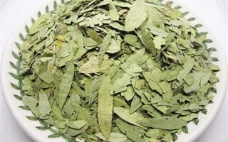 The Benefits of Senna Herb for Health and Weight Loss