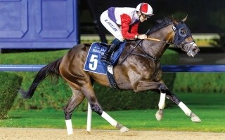 Дубай: состоялся второй вечер карнавала скачек