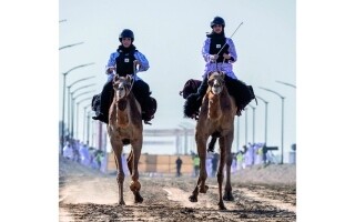 Successful Conclusion of Al Faza'a Cup and Sword Events