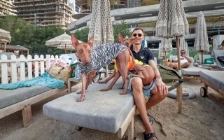 ParkVest Dog Festival in Dubai