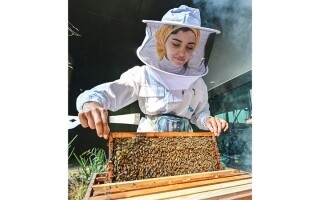 Dubai Launches Beekeeping Course for Beginners