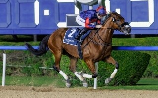 Emperor Emperor Boosts Chances for Dubai World Cup