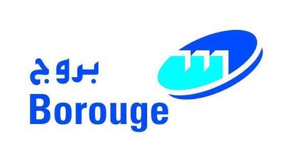 Prowess PLC 重组董事会