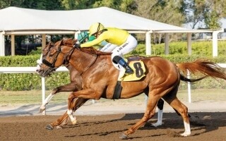 Second Season Race Begins at Jebel Ali Racecourse