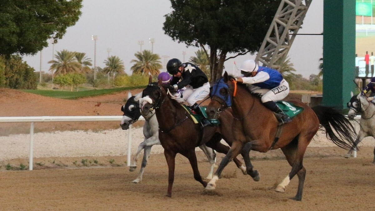 Al Ain Horse Racing Season Kicks Off