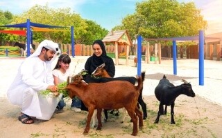 Дубайский сафари-парк открывает новый сезон дикой природы
