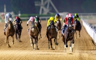 Major 'Festive Friday' Racing Evening at Meydan
