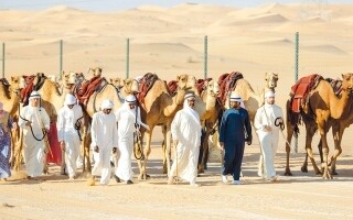 Dubai Prepares for the Finale of the World's Longest Camel Trek