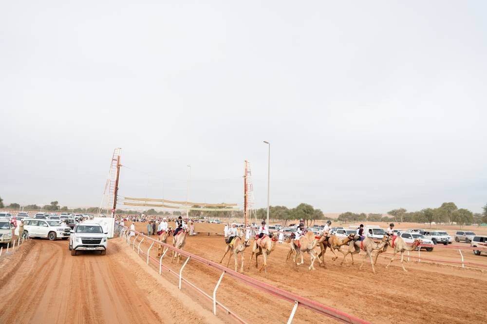 Ras Al Khaimah Heir Attends Traditional Camel Races