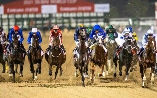 迪拜迎来第30届世界杯赛马盛会