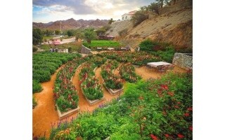 Сад цветов в Рас-эль-Хайме: оазис зелени и ярких красок