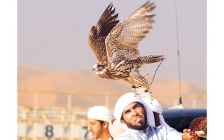 Стартовали соревнования по соколиной охоте на фестивале Лива 2026