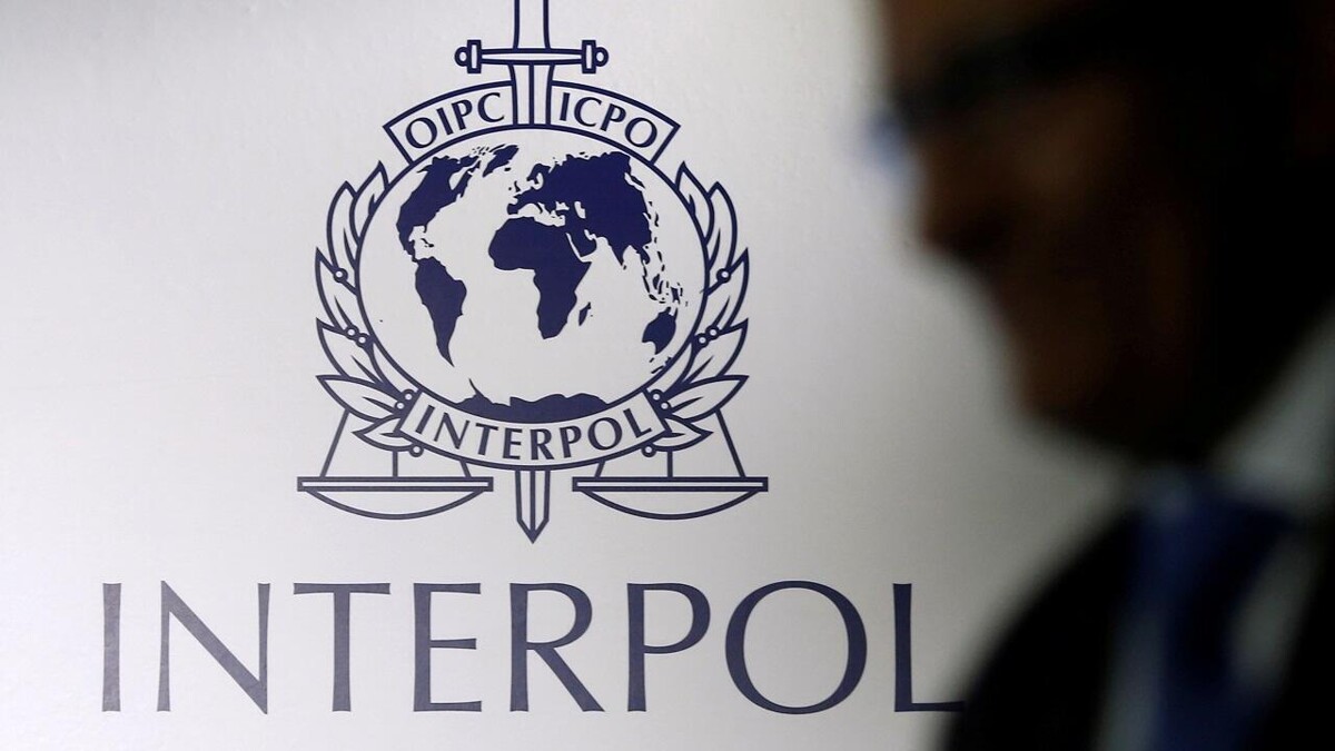 Interpol Arrests 37 Suspects