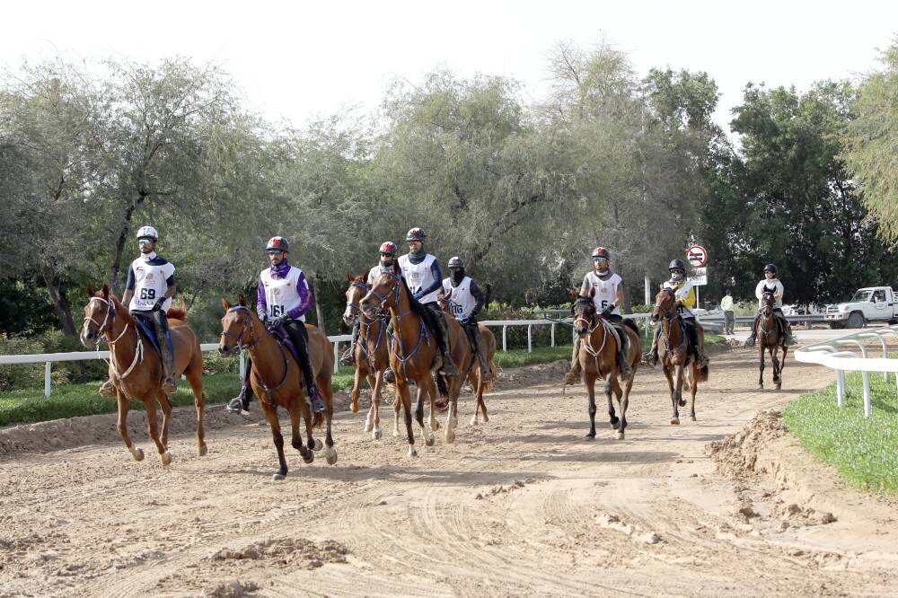 Dubái concluye la temporada de carreras de resistencia