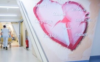 Golden Rules for Heart Health