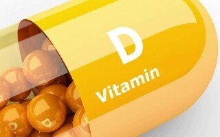 The Importance of Vitamin D During Autumn