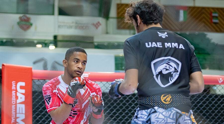 Jiu-Jitsu Federation Announces Preparations for Fifth Tournament