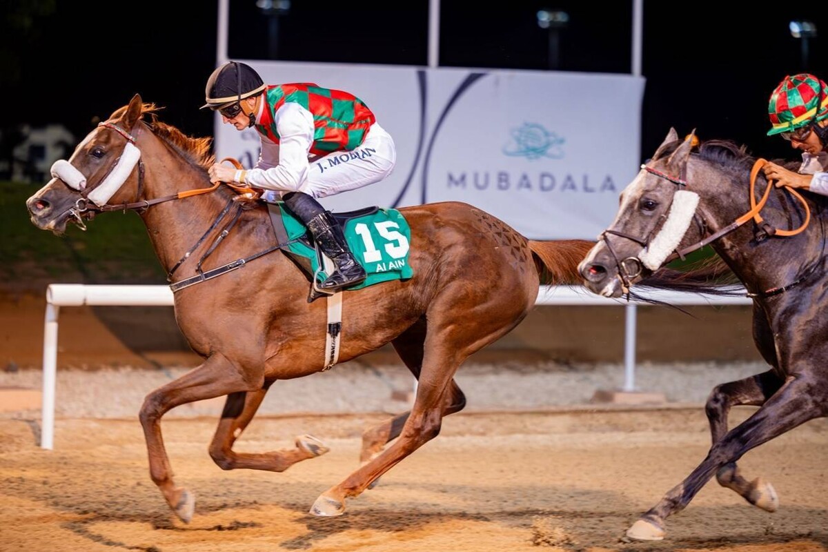 Second Season Event at Al Ain Equestrian and Shooting Club
