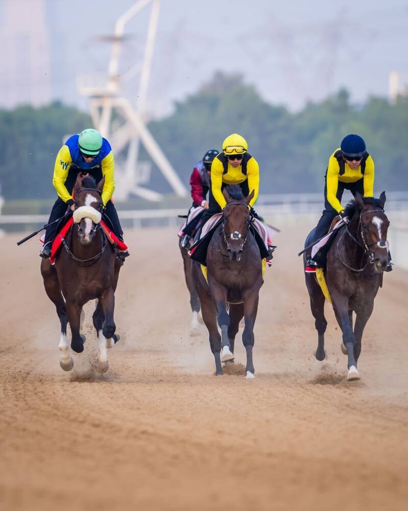 Dubai to Host Trial Races with 99 Horses