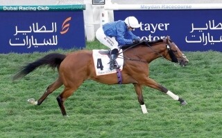 101 caballos de élite competirán en la 30ª Copa Mundial de Dubái