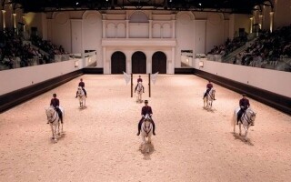 Successful Conclusion of 'Year of the Horse' Cultural Initiative in Abu Dhabi