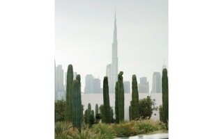 迪拜的绿色巨人