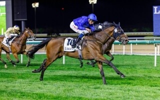 Godolphin Achieves Four Wins in Dubai Races